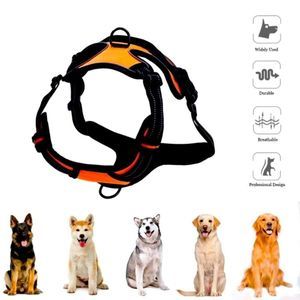No Pull Harness For Large Dog XL